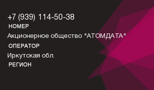 9391145038
